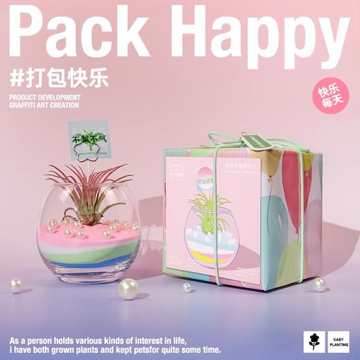 涂鸦造物办公室桌面绿植生日礼物教师节礼DIY空气凤梨 商品图1