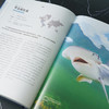 《鲨鱼：鲨鱼为什么是天生猎手？》普林斯顿大学生物图鉴系列  海洋生物 科普-分销 商品缩略图2