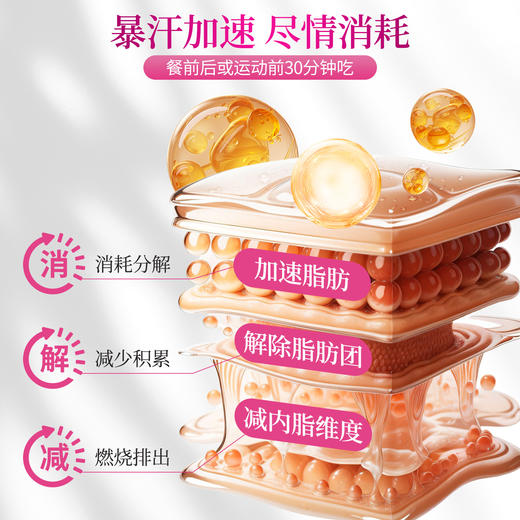 百年扁氏左旋肉碱多酚片30片/瓶 商品图3