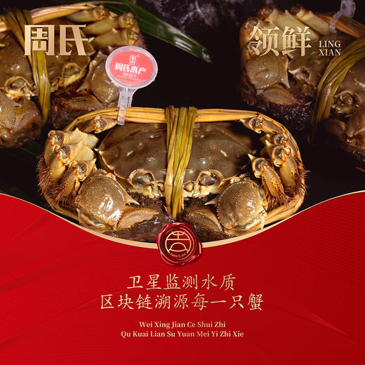 【绮】礼遇周氏大闸蟹礼券套餐中国好蟹4688型 商品图1