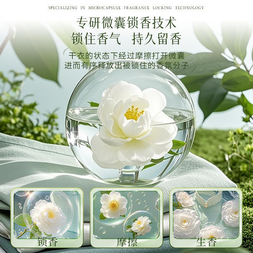 NAMI QUEEN全效香水洗衣液  不伤手 不伤衣 亲肤配方 宝宝衣物 敏感肌人群也能放心用 商品图4