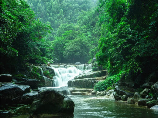 五一4日【婺源望仙谷】婺源望仙谷•卧龙谷-菊径村-漳村-月亮湾-三清山-弋阳龟峰-景德镇-瑶里古镇 商品图4