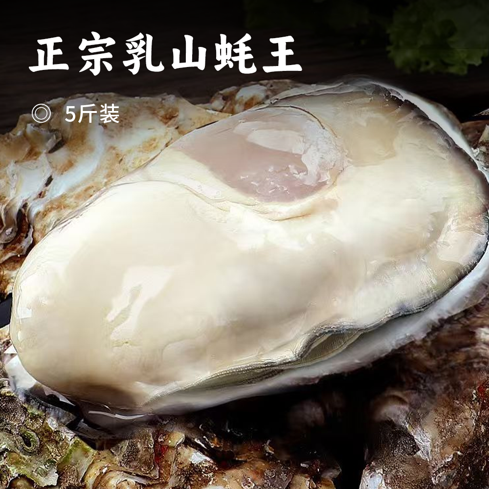 正宗乳山蚝王 | 精选鲜活肥美生蚝 6-8两/只 无污染海域养殖 蚝肉饱满有弹性 口感嫩滑鲜美 顺丰鲜活直达 生蚝