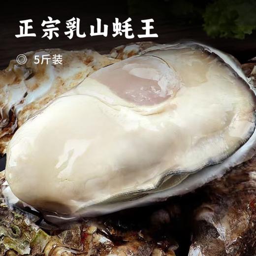 正宗乳山蚝王 | 精选鲜活肥美生蚝 6-8两/只 无污染海域养殖 蚝肉饱满有弹性 口感嫩滑鲜美 顺丰鲜活直达 生蚝 商品图0