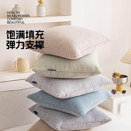 罗莱软装-晴歌抱枕 45*45 商品图2
