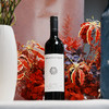 梦蒂贝罗庄园特选西拉红葡萄酒2021 商品缩略图3