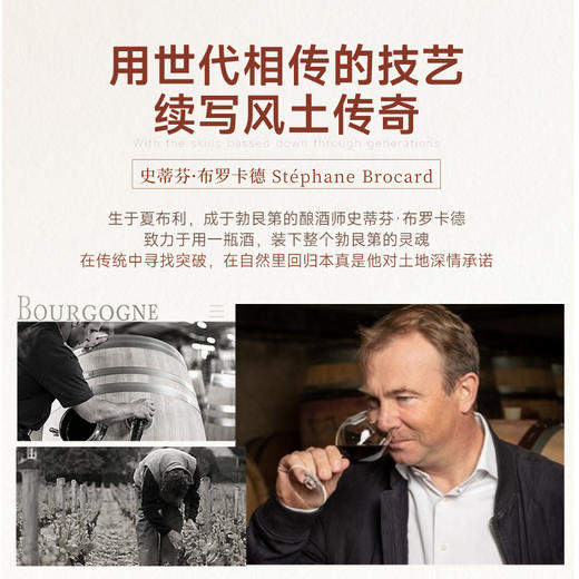 【连续3年-G&G大赛金奖】法国爱丽泽庄园小夏布利干白葡萄酒 12.5%vol 商品图10