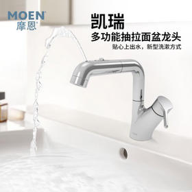 摩恩（MOEN）漱口抽拉水龙头冷热卫生间洗脸盆浴室柜龙头89124M 89124MSRN GN89124M 漱口水+抽拉式龙头*亮