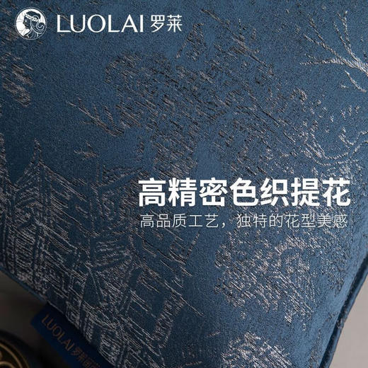 罗莱软装-氤氲抱枕 45*45 商品图3