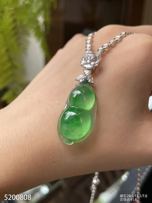 高冰种飘翠福豆吊坠【5200808】具体价格微信咨询 商品图5