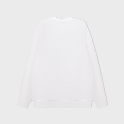 【断码清仓】HX 秋季圆领卫衣S106533042101 商品图7