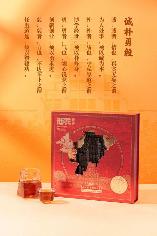 西农茯茶 商品图8