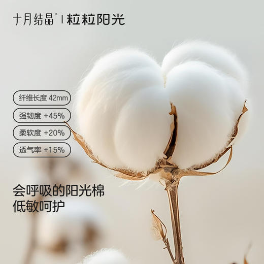 粒粒阳光婴儿帽子a类0到3个月新生小月龄宝宝护卤门胎帽 商品图2