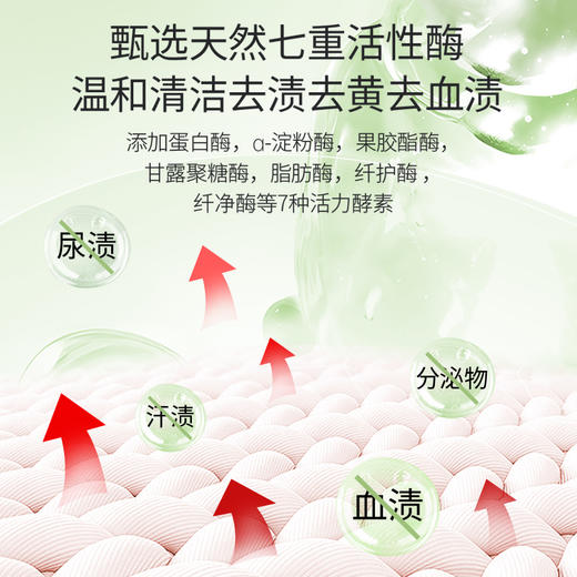 【洗护合一】洁尔阴爆汁苹果蛋白酶抑菌内衣清洗剂专用女士洗内裤祛血渍清洗液 商品图2