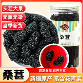 【新疆桑葚干】饱满鲜甜 营养丰富 新疆原产 富含花青素 200g/瓶