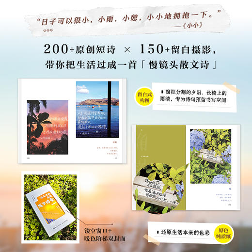 在生活的角落写下诗歌 生活诗歌情感共鸣绘本图册 文学哲理感悟情文艺解压温暖心灵 简短小诗 商品图2