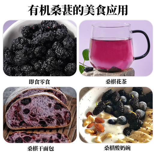 人民 有机桑葚干200g 新桑椹泡茶即食泡酒烘焙煲汤煮粥食用 商品图4