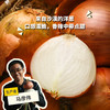 生态大漠洋葱（邮政包裹，买5斤送2斤） | 合作生产Ecological desert onion | Partner Production 商品缩略图0