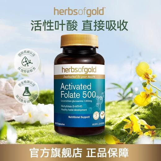 Herbs of Gold和丽康活性叶酸500mcg60粒（28.3） 商品图1