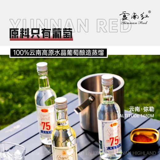 云南红一元一度葡萄烈酒375ml第二份半价哟！弥勒酒庄 商品图4