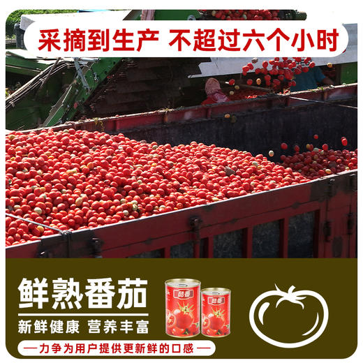 【自营】酷番 新疆蕃茄丁罐头 400g*6罐 商品图5