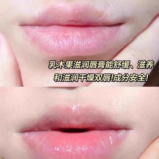 欧舒丹乳木果润唇膏2g 商品图4