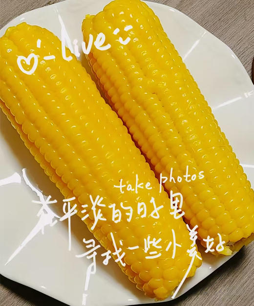 源自北纬43°C世界黄金玉米带  有机三色糯玉米  鲜糯清甜 商品图2