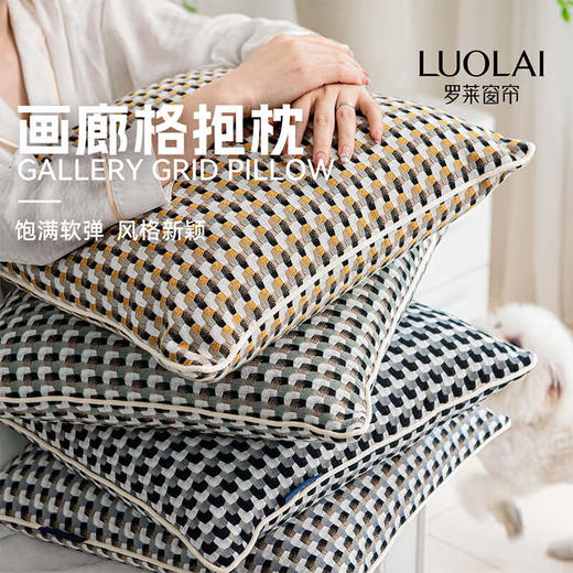 罗莱软装-画廊格抱枕  45*45 商品图0