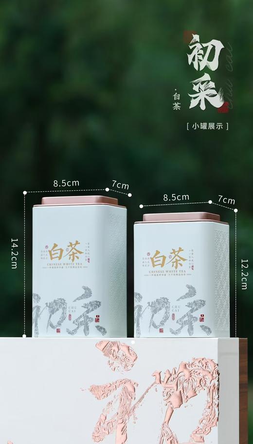 初采白CHA【白色.5罐半斤】28元1套.整箱14套.整箱包邮 商品图2