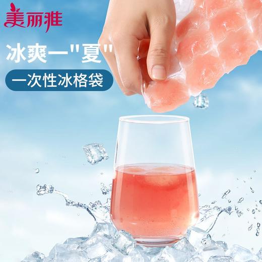 【批发】美丽雅一次性自动封口冰袋加厚24格送漏斗 50片/包 商品图5