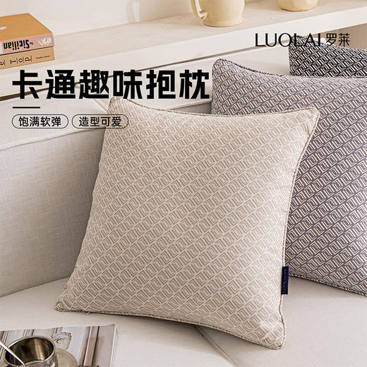 罗莱软装-经典罗莱双LL纹样抱枕 45*45 商品图1