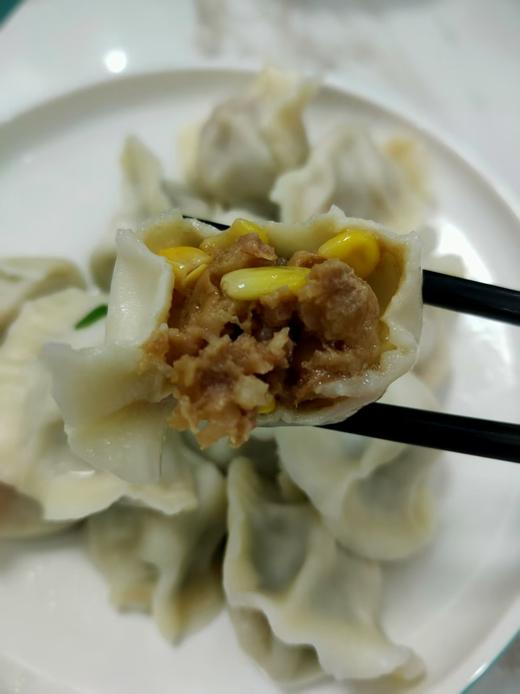 跑山黑猪肉手工饺子，1份1斤 商品图1