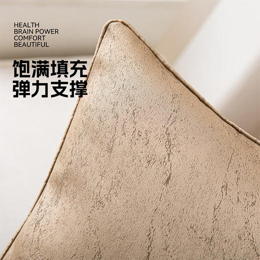 罗莱软装-兰亭抱枕 45*45 商品图5