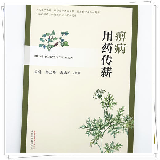 痹病用药传薪 孟彪 高立珍 赵和平 主编 中国中医药出版社 商品图3