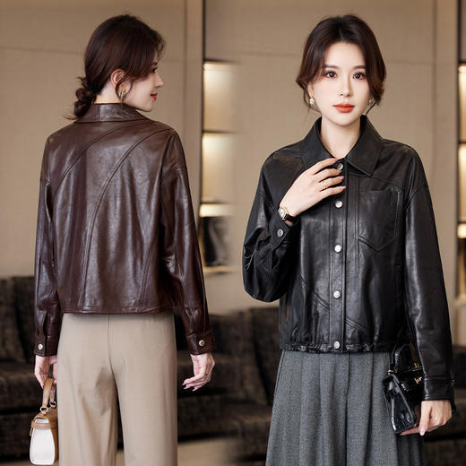 TC 23529真皮皮衣气质绵羊皮夹克外套短款 商品图1