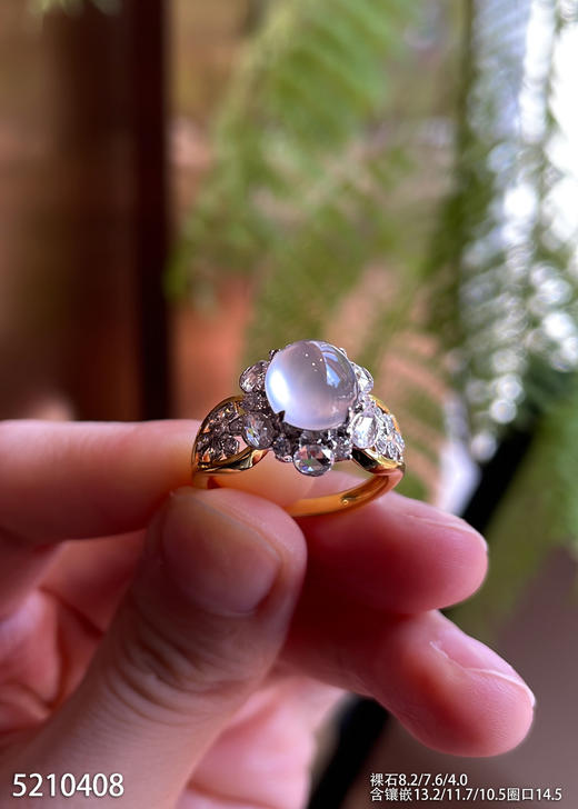 5210408，蛋面戒指。具体价格微信咨询 商品图1