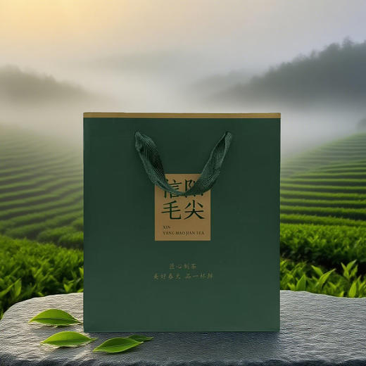 匠心制茶【信阳毛尖 小手提袋】 0.9元一条/300条一箱 商品图1