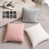 罗莱软装-摩登艺术抱枕 44*44 商品缩略图2