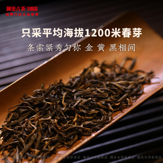 茶礼 澜沧古茶金骏眉茶妈妈工夫红茶福建高山茶叶高香春茶礼盒送礼 商品图2