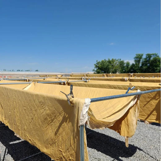 【棉小伙九浸九晒养生服饰  护腰·护膝】 弹力款  无弹力款 九九姜芯 古法炮制新疆天山晒场 热姜汁浸泡  至日用功拔陈Han 男女同款 重庆仓 商品图3