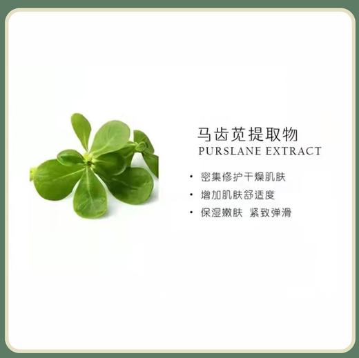 中粮德兰 玫瑰烟酰胺保湿霜30g 商品图3