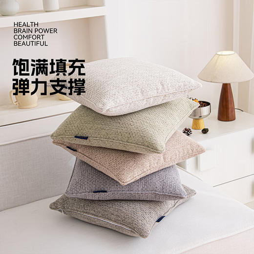 罗莱软装-摩登时代抱枕 45*45 商品图4