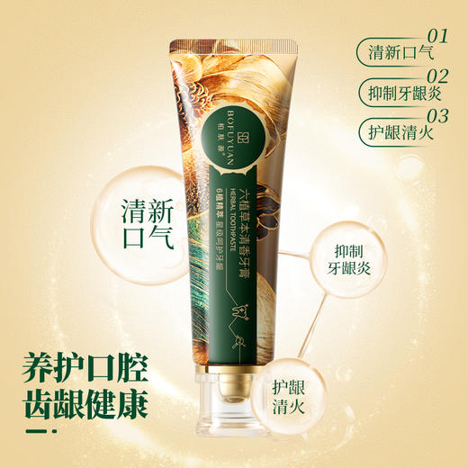 柏肤源 六植草本清火牙膏 商品图1