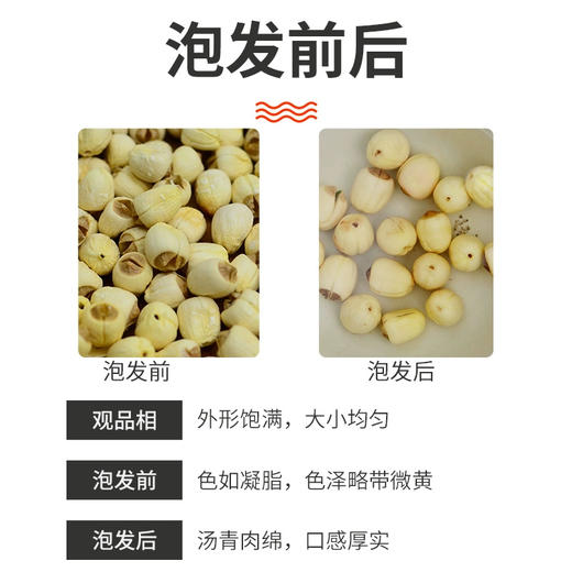 福建武夷山特产五夫通芯白莲子绝非湘莲手工去芯一煮就烂 商品图2