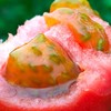 生态内蒙古草莓西红柿 | 合作生产*Eco- strawberry tomato | Coprodution 商品缩略图2