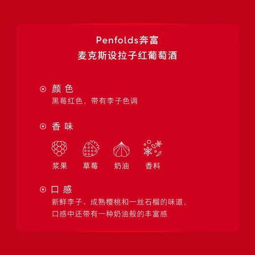 中粮奔富BIN389麦克斯双支套装（内配BIN389*1瓶、麦克斯*1瓶） 商品图5