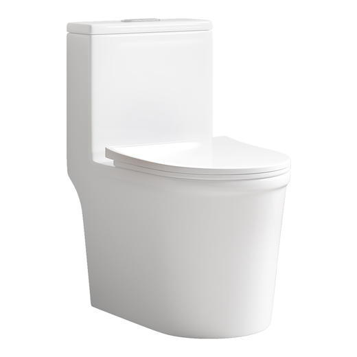 帝王现代简约小尺寸陶瓷马桶TT047 商品图0