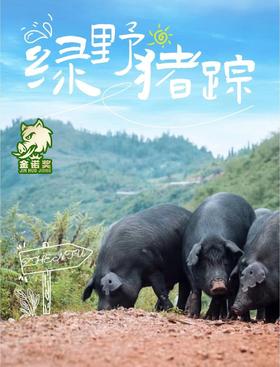 （冻）黑猪腿骨筒骨29.8元1盒2.8斤±0.2斤，明天到