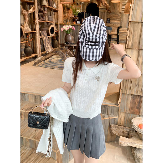 <曾小咸推荐>现货秒杀！微信超特价！3色polo领刺绣针织衫两件套 日常219.99 立减120 秒杀99.99！ 商品图2