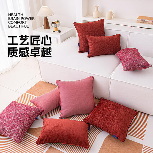 罗莱软装- 欢天喜地抱枕 45*45 商品图2